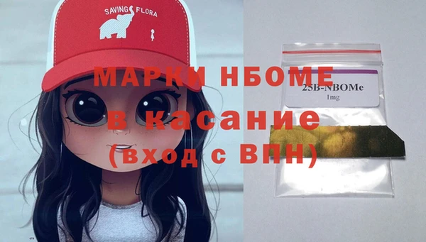 прущие грибы Армянск