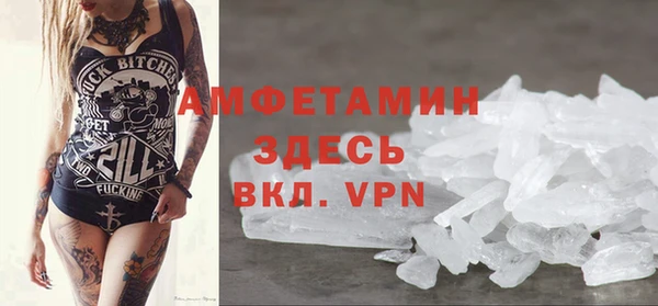 прущие грибы Аркадак