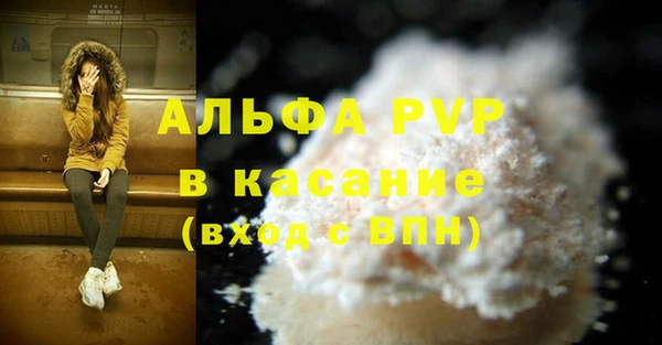 стаф Арсеньев