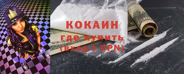 прущие грибы Аркадак