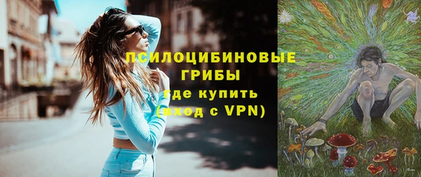 прущие грибы Аркадак