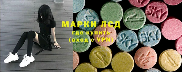 прущие грибы Армянск