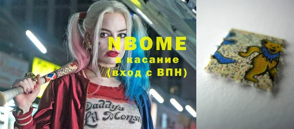 стаф Арсеньев