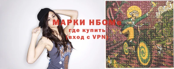 прущие грибы Аркадак