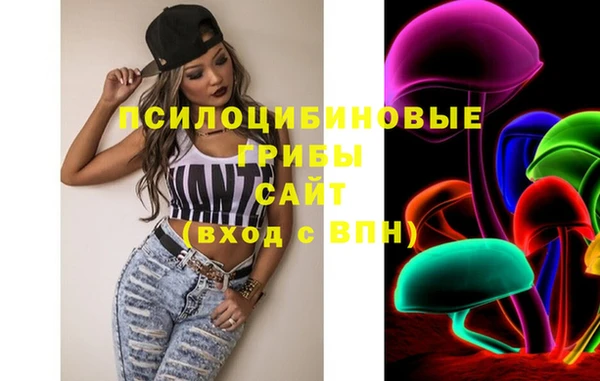 стаф Арсеньев